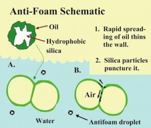 photo586865860790036495